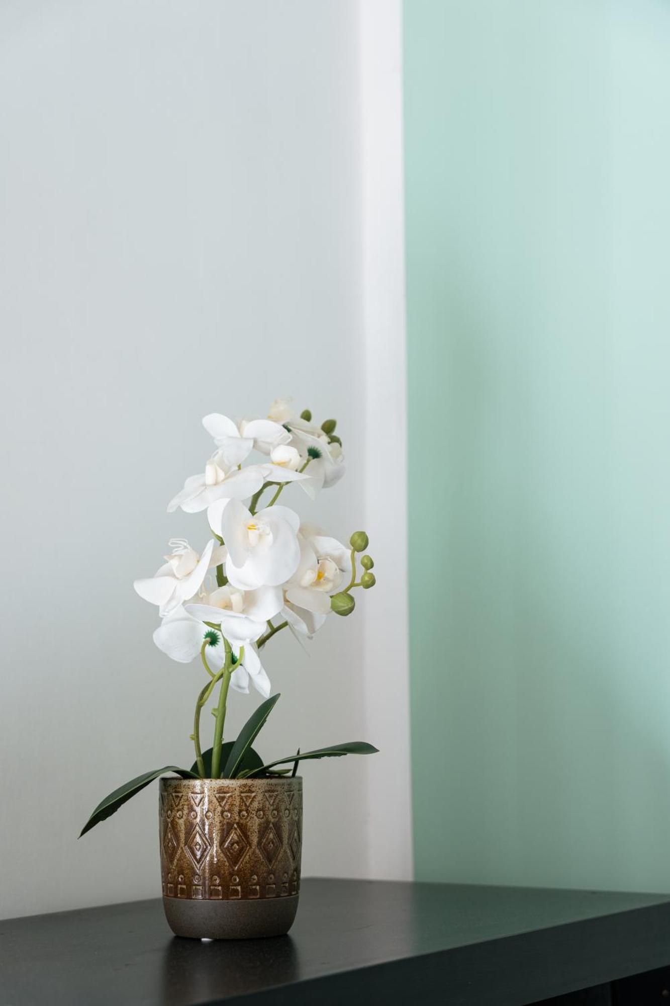 Apartmán Urban Nest Řím Exteriér fotografie